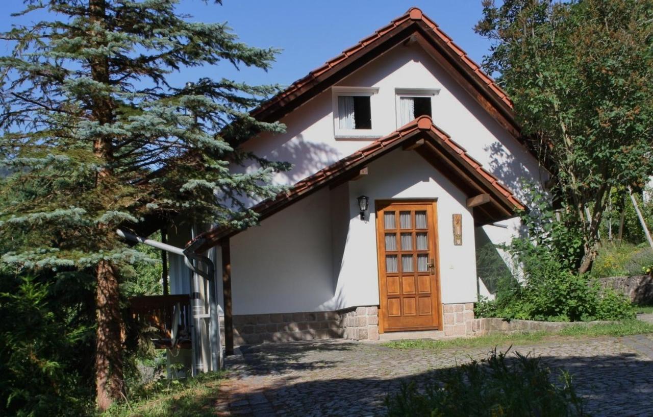 Saalfeld Saale Ferienhaus "Am Schleifenbach" מראה חיצוני תמונה